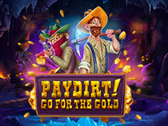 Paydirt Go for the Gold Online Slot Game Screen